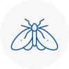 Moth Control Specialists In Etchingham